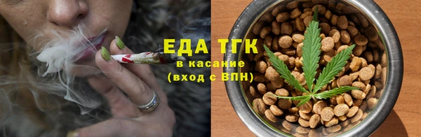 индика Баксан