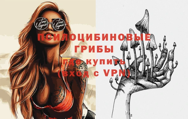 стаф Арсеньев